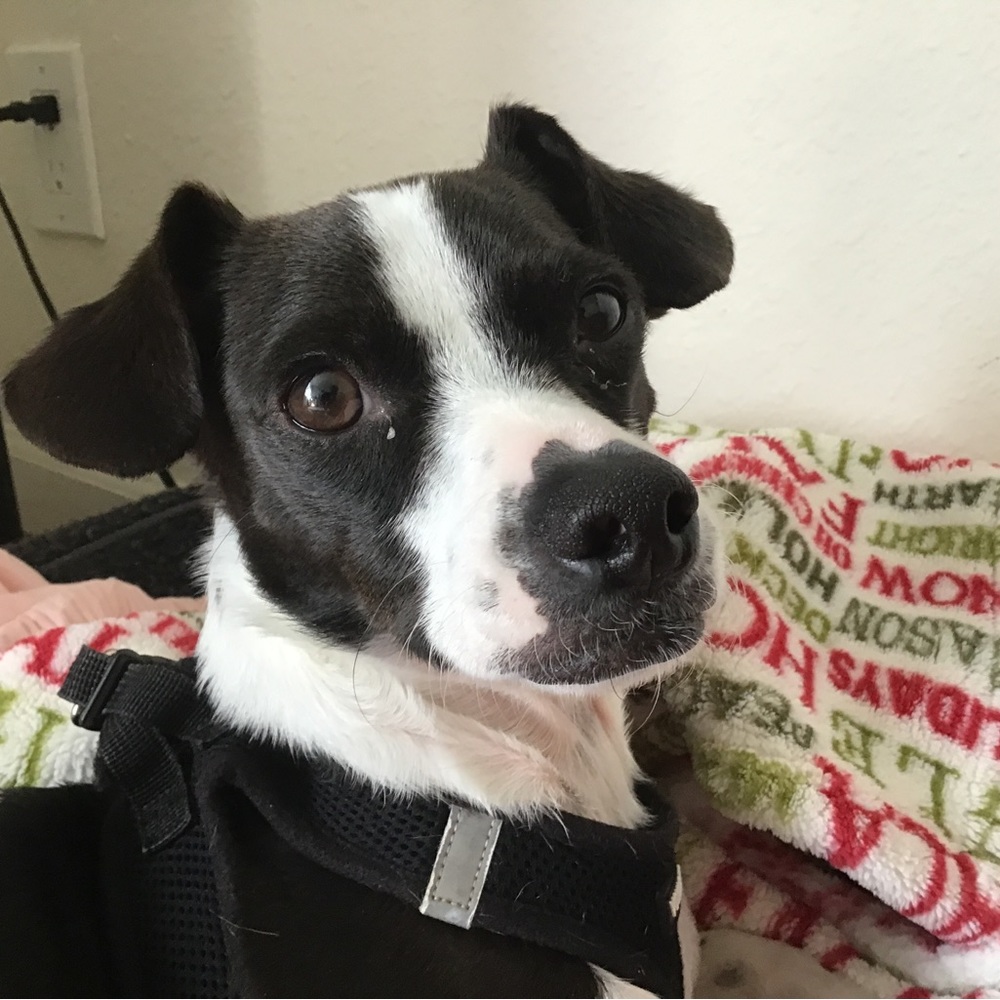 Meet your Posher, Christian